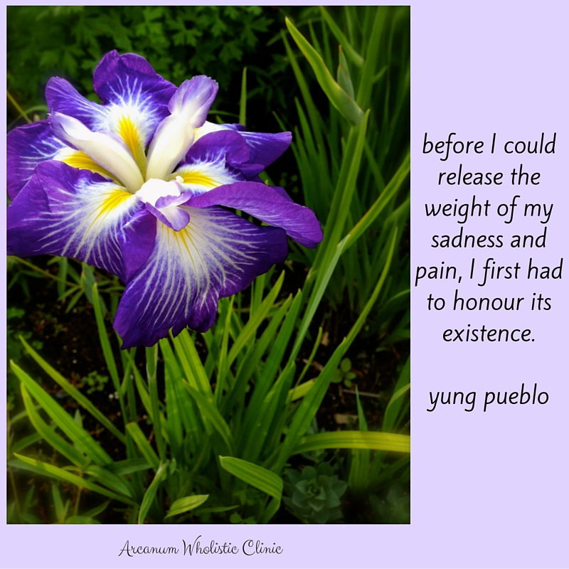 DrEddyClinic's tweet photo. RT @amcquinn: Grief and disappointment accumulate until those unshed tears become chronic constipation, menstrual pain, migraines, and in some cases tumours. #removeblockages #essentialself #traumatherapy #heilkunst #functionalmedicine #homeopathicmedici… https://t.co/zUBpRyzpzS