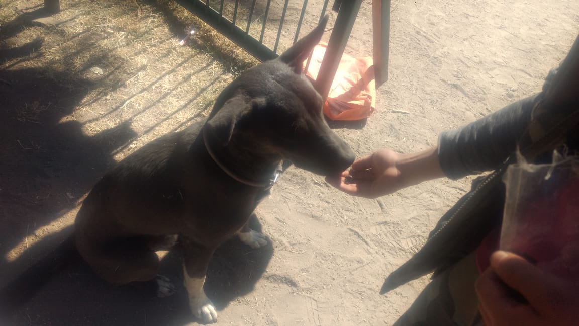 mar_cruz tweet media