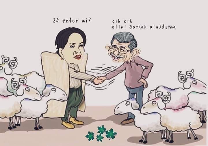 KOYUN PAZARLIKLARI BAŞLADI