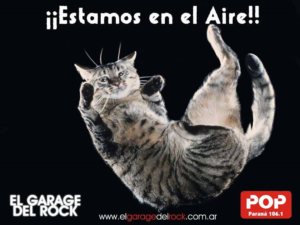 El Garage del Rock tweet media