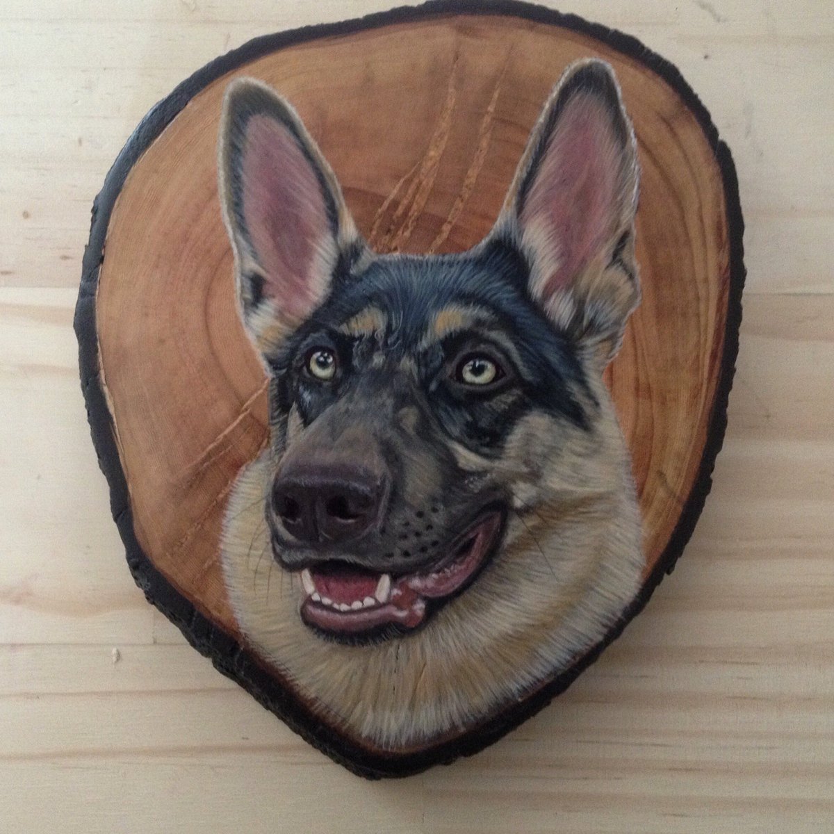 AlejoAwd's tweet image. Hola, yo hago pinturas personalizadas de sus mascotas, es un regalo único y original totalmente pintado a mano, me colaboran porfa con un RT para darme a conocer 😊en instagram me encuentran como @1111ArteAnimal