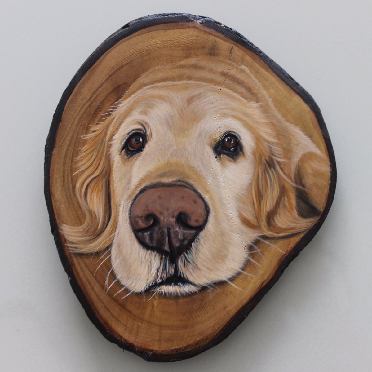 AlejoAwd's tweet image. Hola, yo hago pinturas personalizadas de sus mascotas, es un regalo único y original totalmente pintado a mano, me colaboran porfa con un RT para darme a conocer 😊en instagram me encuentran como @1111ArteAnimal