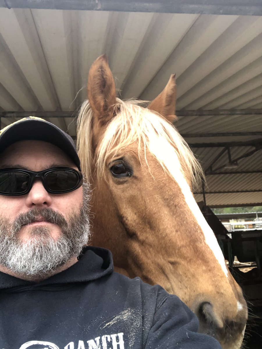 FalcettoMeFree's tweet photo. Day late but... Hanging out in the mud with this copper penny. Stopped by to check in and the time warp took a couple hours. #ranchtime #Django #NationalDayoftheHorse https://t.co/HtvNADbZFW