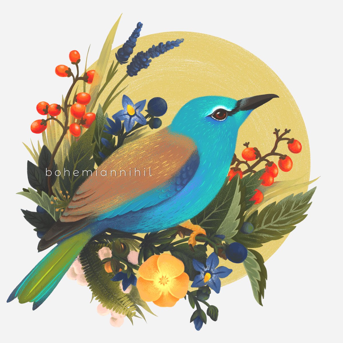 bohemiannihil's tweet photo. Coracias garrulus
#bohemiannihil #bohemiannihil_art #andrea_süli_visuals #illustration https://t.co/dNQpCib0uS