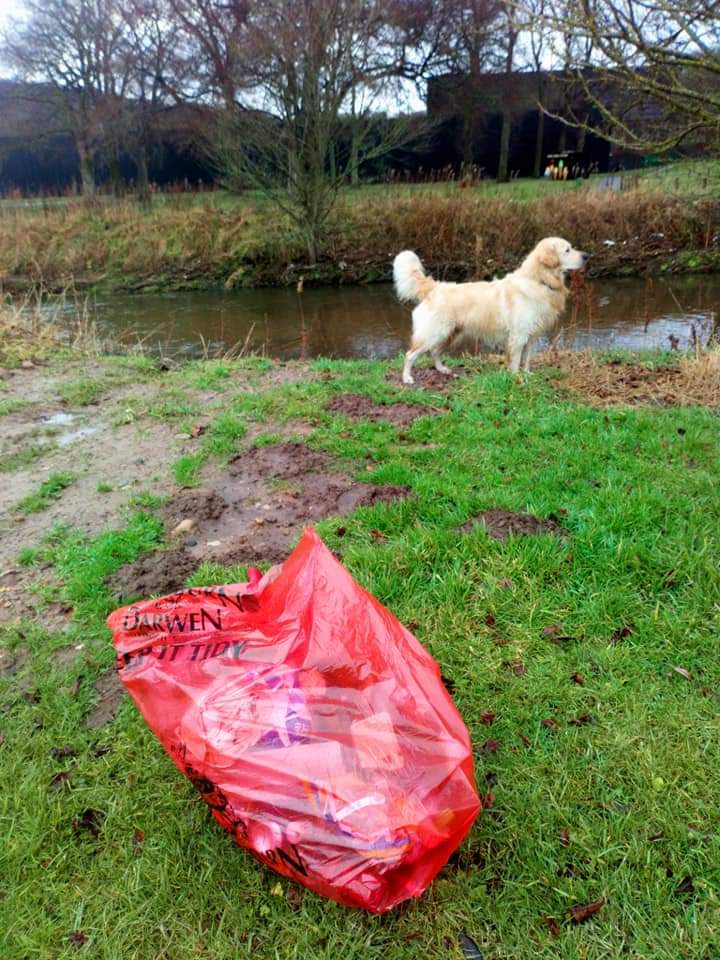 📯📯📯📯🥁🥁📯📯📯📯 29 volunteers have braved some horrible weather this week to collect  another 231 bags this week. All supported by the fabulous <a href="/BwDBins/">BwD Bins ♻️</a>. #litterheroes <a href="/KeepBritainTidy/">Keep Britain Tidy</a> <a href="/BwDMayor/">The Mayor of BwD</a> <a href="/AlleyAngels/">Alley Angels</a> @OsmanSayyed <a href="/LancashireVP/">Lancashire Volunteer Partnership</a> @Kate_HollernMP
