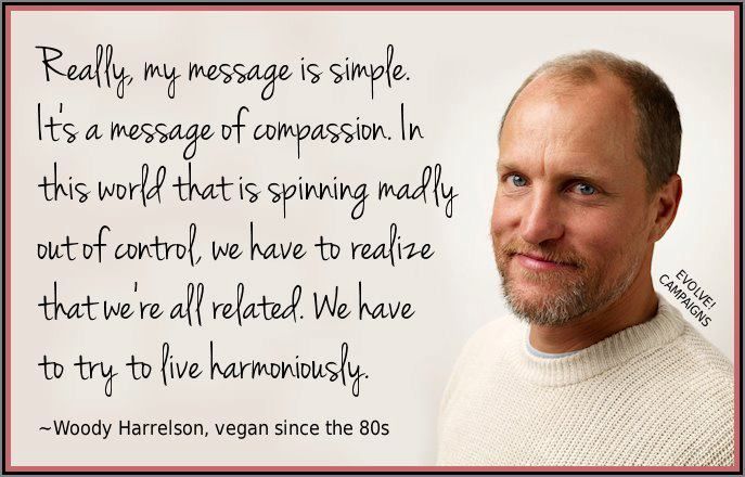 Reject Cruelty.  Embrace #Compassion.

#TryVeganToday #TryVegan #TweetStorm #Christmas #ChristmasCruelty #Christmas2019 #Vegan