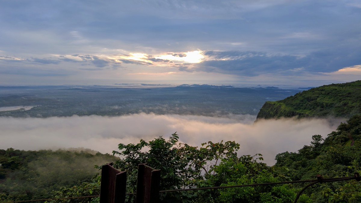 Attempt to capture natures way of overcoming darkness 
#NationalGeographic 
#NaturePhotography