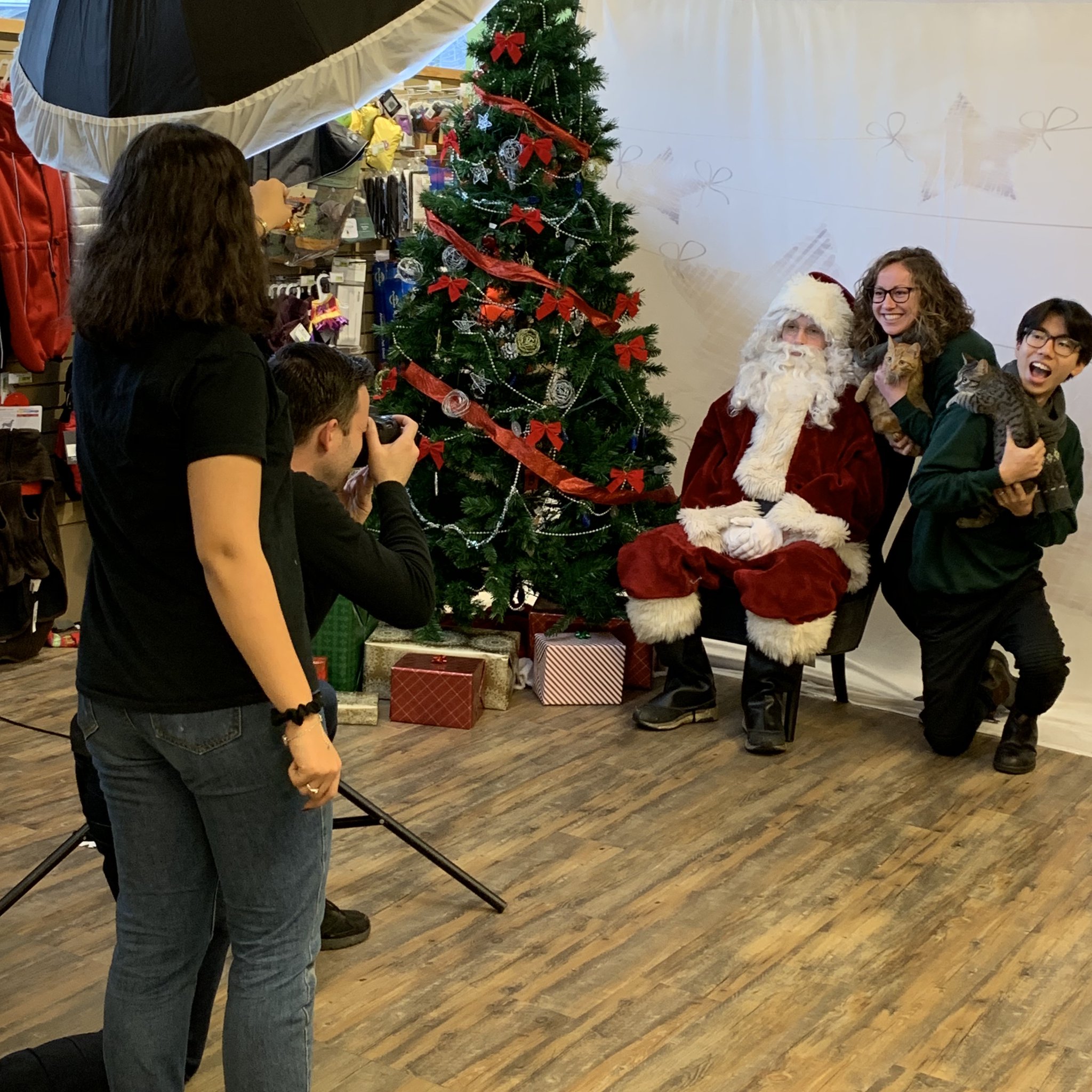 Pet Food 'N More on Twitter "Santa met Pekoe & Marino today 🐾 🎅 