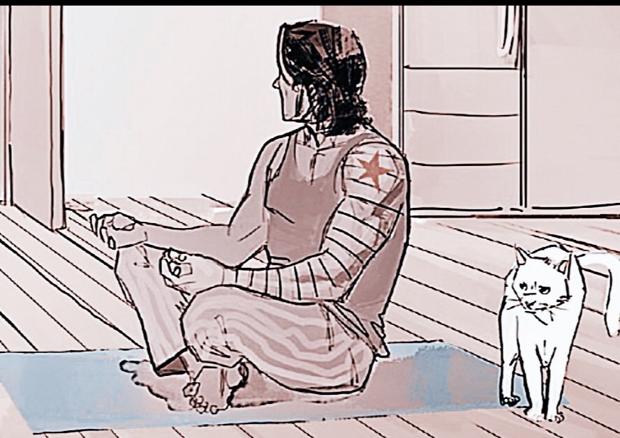 pytkisoldata's tweet image. /  nat and bucky + cats uwu