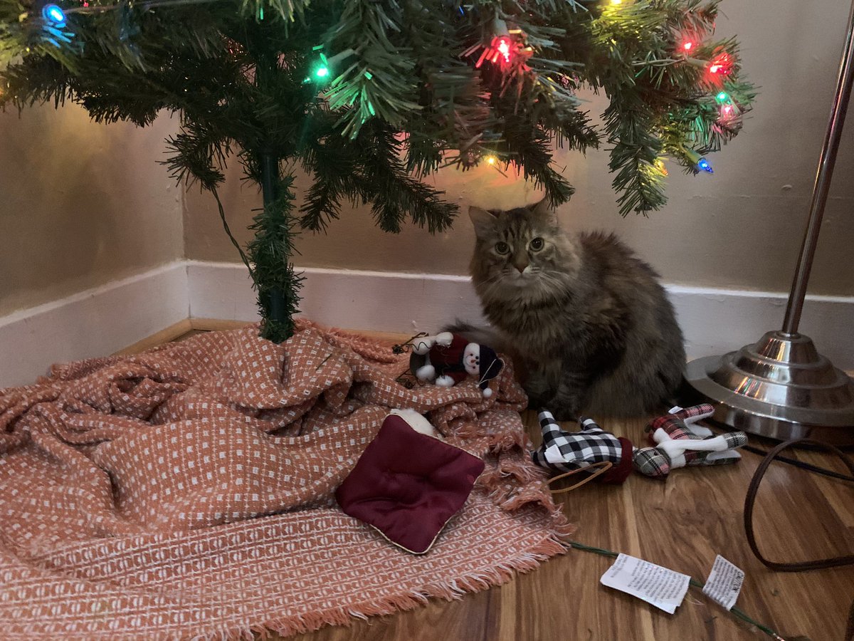 juliafeeyoree's tweet image. For everyone asking if this works: 
of course not