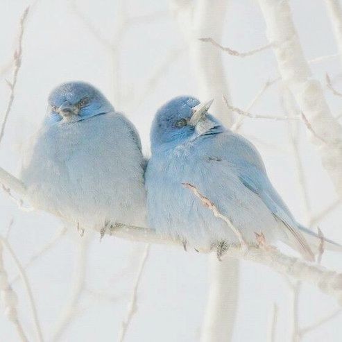 น้องคลื่น tweet media