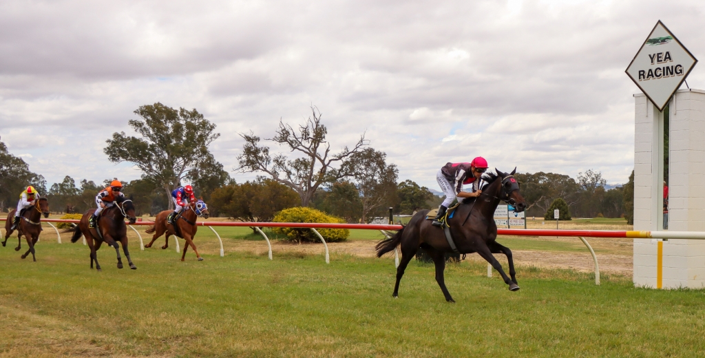 Picnic Racing tweet media