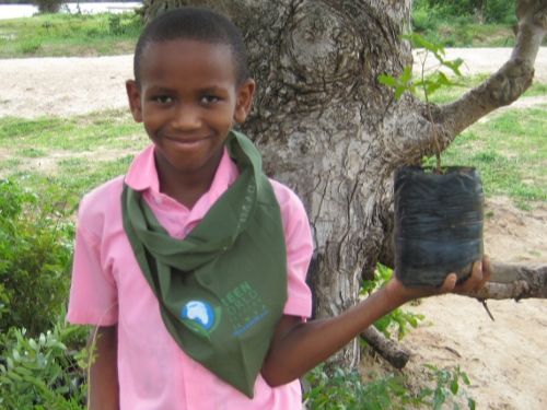 GreenWorldOrg's tweet photo. A Holiday Gift for People and Planet - https://t.co/Uy5omCNXGC https://t.co/wgx5seDtBR