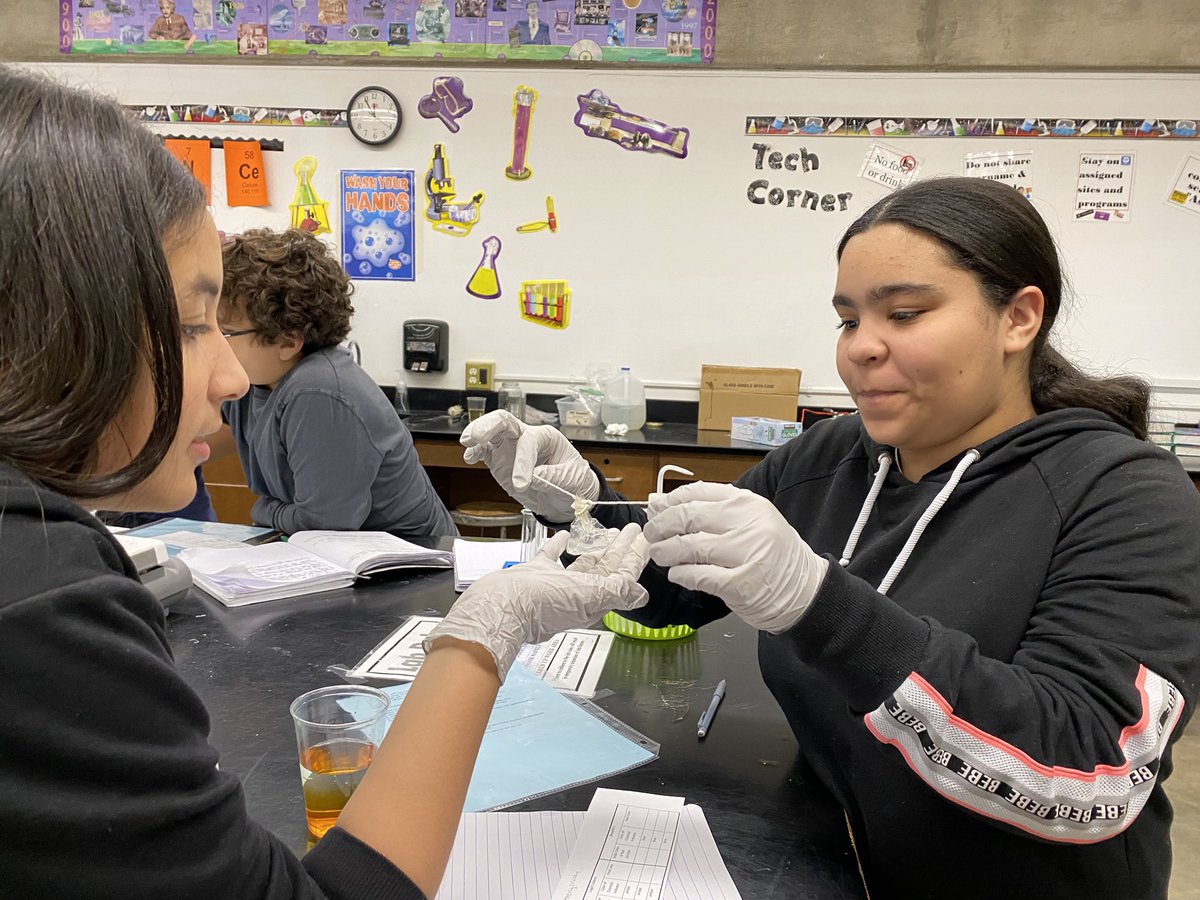 YonkersMHS's tweet photo. 8th grade Living Environment lab with Mrs. Williams. #SWBAT: model diffusion through a membrane. @YonkersSchools https://t.co/a6OyHim0JU