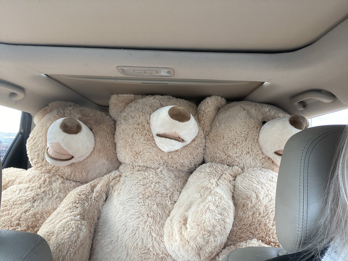So ready for Teddy bear toss!! <a href="/ColoradoEagles/">x-Colorado Eagles</a> #EaglesCountry