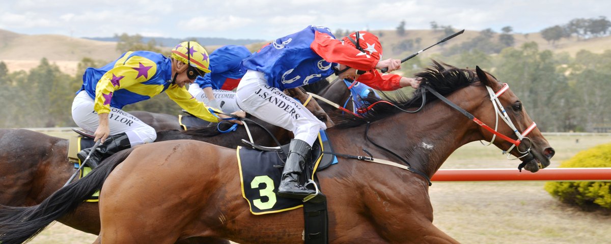 Picnic Racing tweet media