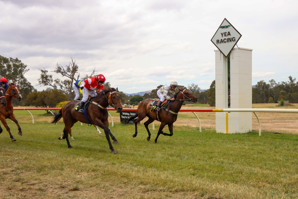 Picnic Racing tweet media