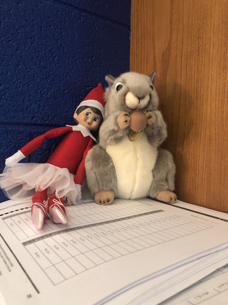 NuttyAdventure's tweet photo. Hanging out with my new friend Snowflake! I’m also teaching her multiplication facts! I’m a smart squirrel! https://t.co/csPXyic9sF