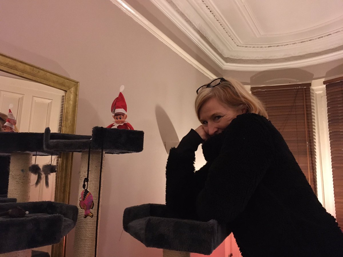 BeYonderLtd's tweet photo. #Elf on the shelf is out of #luck, Iβm up in the #cat tree DILLIGAF, Iβm dressed in red from head 2 toe, so hereβs 2 us all, off we #Go π #SaturdayVibes #naughtyelf #RudeElf hijacks @BeYonderLtd #Twitter ooooer missus π§ @Wendy_Pring #values #inclusive #wellbeing #economics https://t.co/LhPkGvKkW3