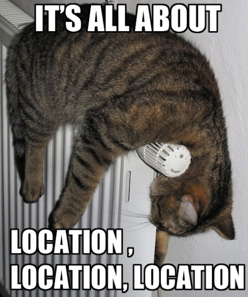 MandaSold's tweet photo. Don’t miss out on the “purr-fect" location for your next home! 🎉🏡📲

#MandaSold #REMAXSouthernHomes #Vestavia #RealEstate #WeekendVibes #Caturday https://t.co/5pZSBDdRmW
