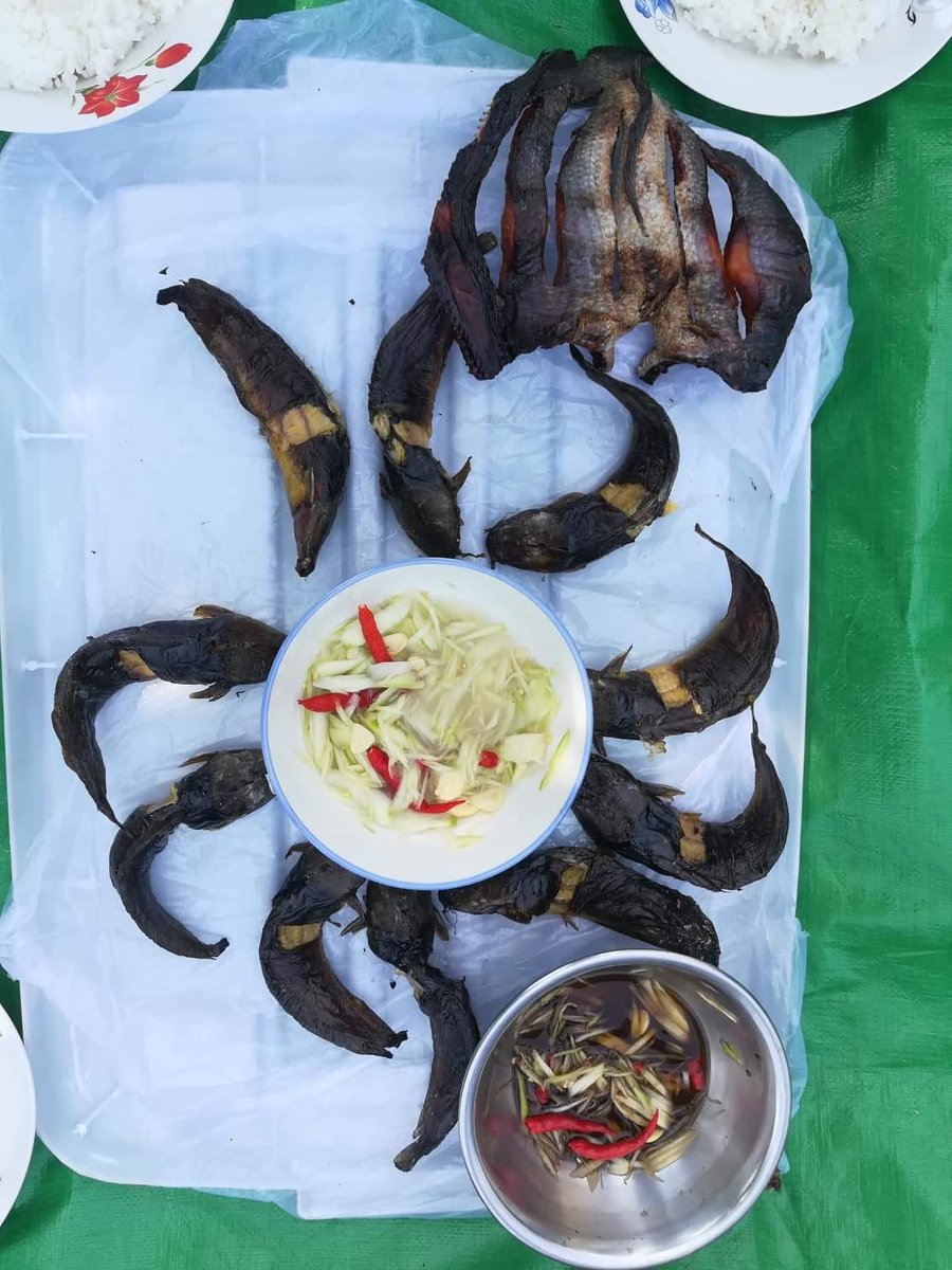 dr_marpol's tweet photo. Back to Boeung Samreth! The Royal bronze foundry of Early Modern Period #Cambodia - excavations and on-site culinary expertise continue in the shadow of Phnom Preah Reach Troap #Oudong @Flinders @FLINArchaeology @arc_gov_au https://t.co/rwWAatZyAq