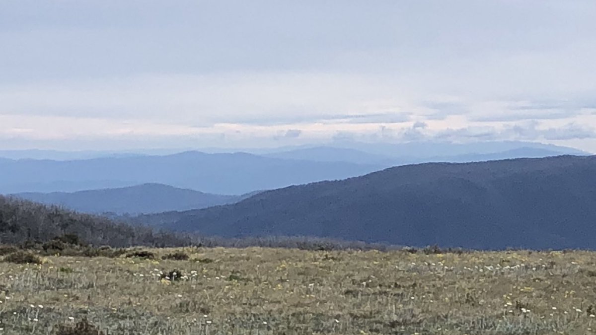 You can’t make much out but this is my first view of the very very distant Kosciuszko area, where I’m due around the 26th. This view excited me greatly but then I’m easily amused  #AAWT