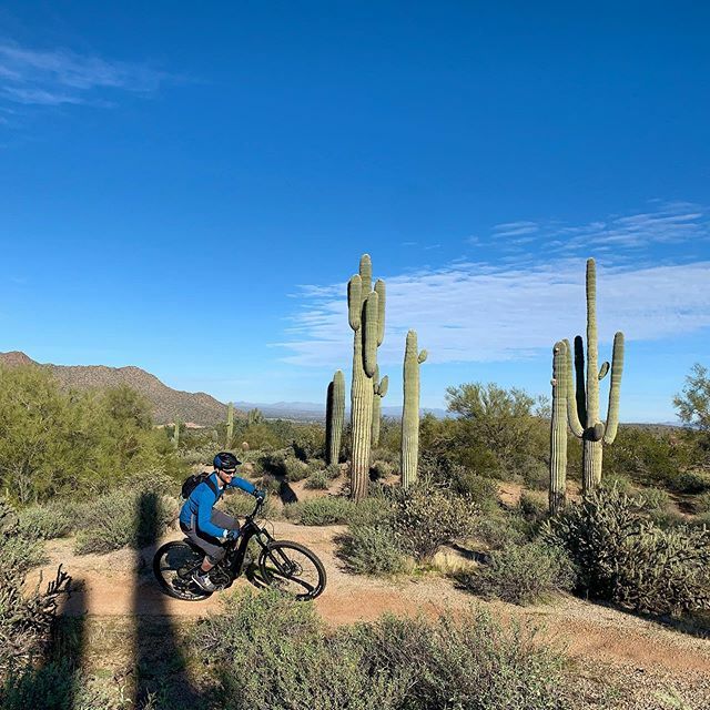 HeyJohnP's tweet photo. Ebikes are no fun at all. ⚡️⚡️ #pivotcycles #pivotshuttle #arizona #ebike #desert https://t.co/AR4QfyhKM1 https://t.co/DyYGscISKC