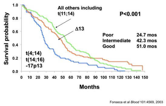 With interphase FISH we reported a prevalence of 15% of MM. It was associated with better outcomes (2003) and subsequently confirmed by others. KEY POINT: Most of the trials where it was tested had a backbone of alkylators and not any novel agents. https://www.ncbi.nlm.nih.gov/pubmed/12576322 4/x