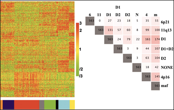 In 2005 Bergsagel and Kuehl proposed the TC classification of MM via gene expression, showed the GEP signature of t(11;14) was identical to that of the t(6;14). Venetoclax? Also, UAMS showed two subtypes of t(11;14): CD1 and CD2. CD1 is better! https://www.ncbi.nlm.nih.gov/pubmed/16155016 9/x