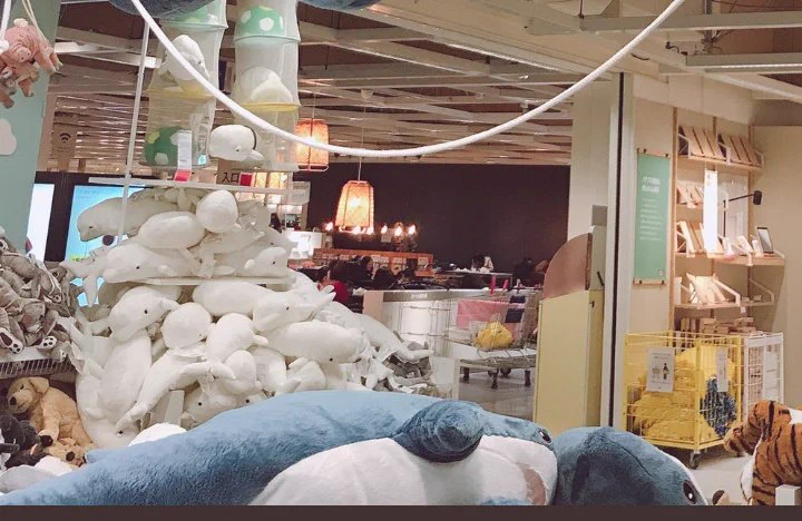 @tarut52124 @akamako777 サメA
「エラ呼吸なの忘れてた😱」
サメB
「俺も」 