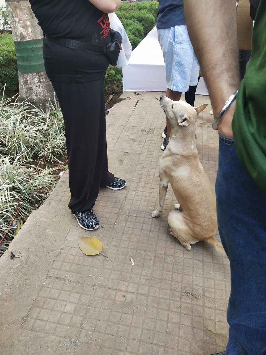 Arpana's tweet image. #U2India #U2TheJoshuaTree2019 @U2 with my friend of 33 years 😁 @Darth_SidS