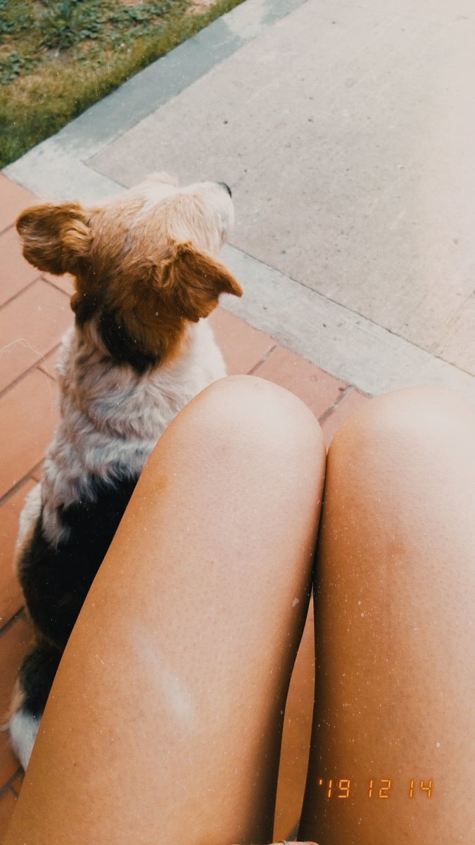 stefianahip's tweet photo. Mi compañera de siempre 💕 
Adopten, no se van arrepentir 😍 https://t.co/LG2KmROXkn