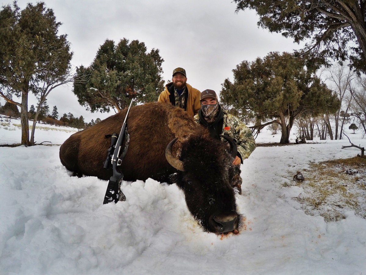 Calob Leindecker tweet media