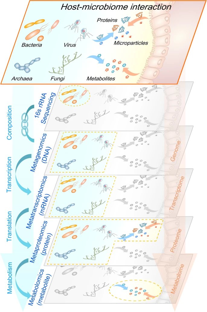 BiswapriyaMisra's tweet image. Nice paper on #metabolomics #metaomics #multiomics in #microbiome research!

Advancing functional and #translational microbiome research using meta-omics approaches: bit.ly/2YYwEq5 

Lovely #figures for sure!: )
