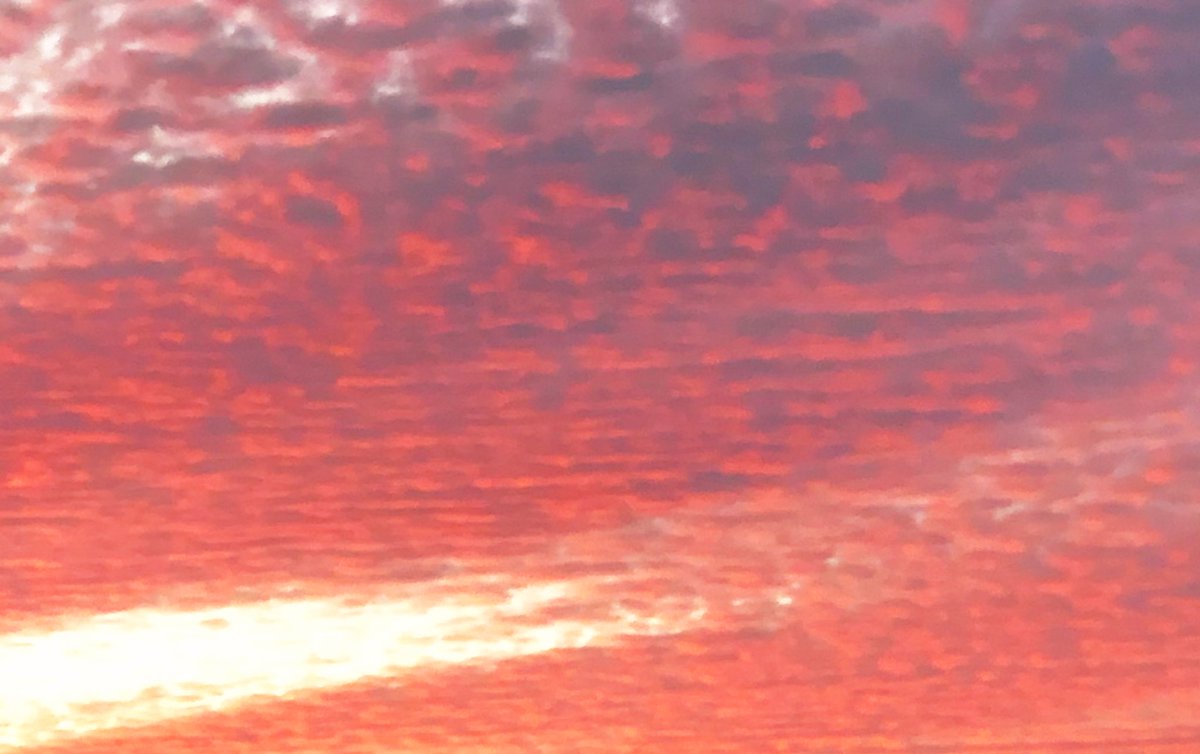jglass8's tweet photo. Some color to end the day! #byesun #sunset #arizona https://t.co/staMOA6ASy