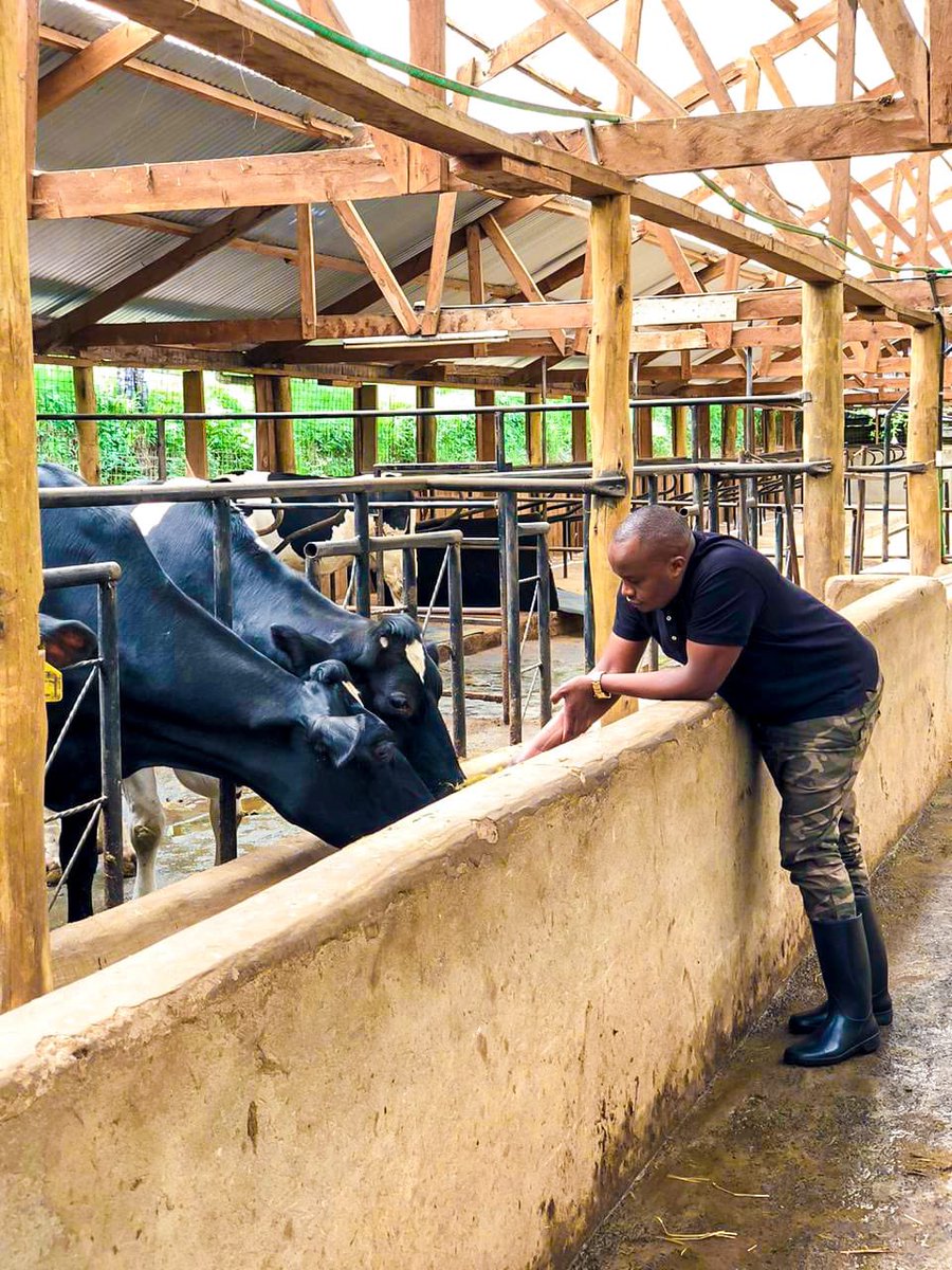 RealJaguarKenya's tweet photo. I started doing odd jobs at an early age. Life is a struggle. Slowly, I moved into music because I had a passion for it. Then I got into politics. What most people don't know is that I'm also a passionate farmer. Today I'm checking on my cows. Diversify. It'll help you a lot. https://t.co/hMIeTJU4t3