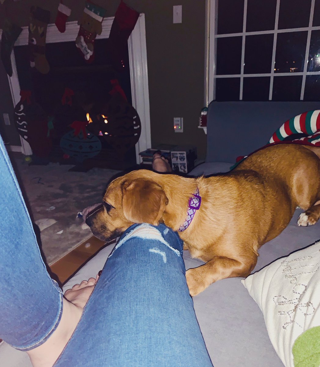 parrishicks's tweet image. Spent the day baking 100s of cookies &amp;amp; making peppermint bark popcorn, now curled up with hot cocoa, a fire blazing, Rudolph and Frosty on the TV and a dog asleep on my legs.  Literally the perfect day. 🎅🏼🎄🍪🦌☃️☕️🔥