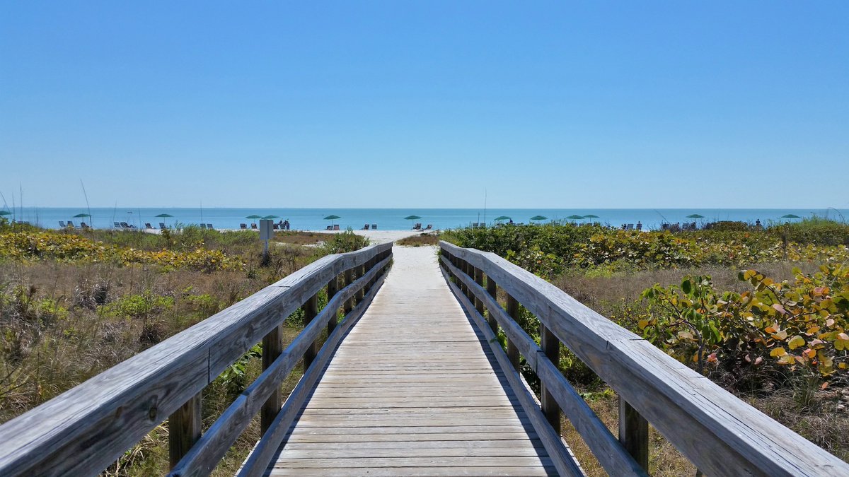 --You constantly struggle with writing every scene in your book
--You're constantly wondering how much or how little detail to include
--You're worried your chapters are too long-or too short
This all means you're writing an extraordinary book!
It's hard, but worth it in the end!