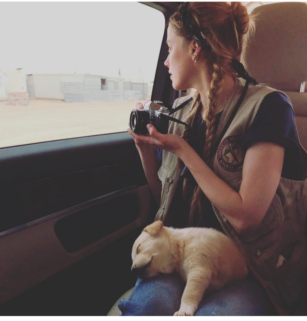 Example 2:April, 2018For anyone who followed along with Amber Heard's good publicity trip to Jordan, you probably weren't too surprised by her July tweet. While in Jordan she attended high class parties, posed for pics & "rescued" a puppy, giving it the Arabic name, Hadya.