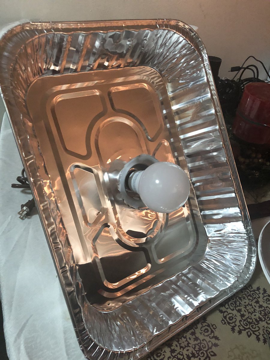 shaddowgg's tweet photo. Tu te la ingenias como sea #lifehacks #diylights #twitchlatam https://t.co/83ozoOHk6H