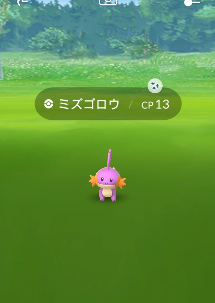 ラグラージをすこっていけ Twitter Search Twitter