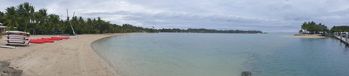 Dylan Albert tweet media