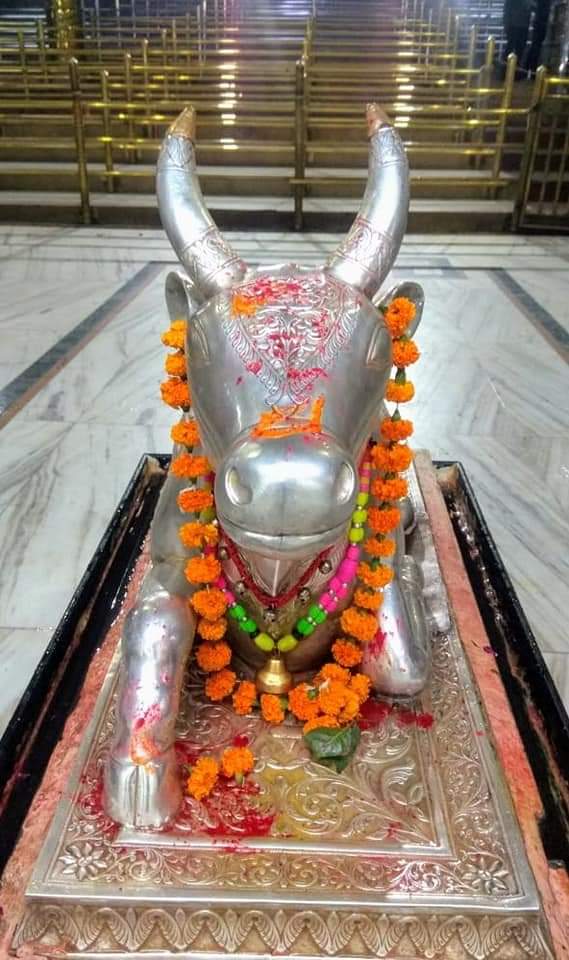 VimalPandey91's tweet photo. 🙏🌹जय श्री महाकाल 🌹🙏
श्री #महाकालेश्वर_ज्योतिर्लिंग जी का आज का भस्मआरती श्रृंगार एवं नन्दी महाराज जी के दर्शन
🔱15 दिसम्बर  2019 ( #रविवार )🔱🚩 https://t.co/sdmwAbKe6T