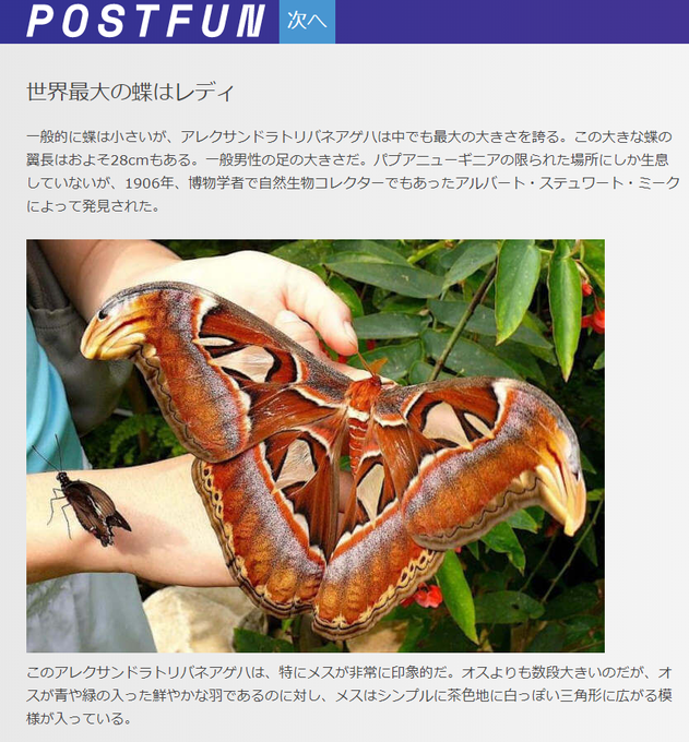 蛾だぞのtwitterイラスト検索結果 古い順