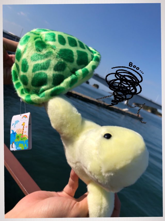 RT @CXhinakichi: カメのぬいぐるみ｢のぶゆき君｣買いました🐢 甲羅
