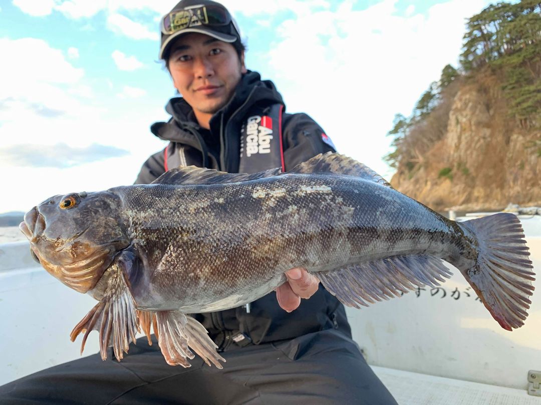 釣りtiki東北 Ar Twitter 宮古の佐々木健太郎さんより三陸ロックフィッシュの釣行記が届きました ボート 磯 漁港で50upも複数キャッチ 岩手はスポーニングのピークを過ぎ アフターのシーズンへ T Co Nnvinmyjj1 Tsuritiki T Co Ryupn8lkrg