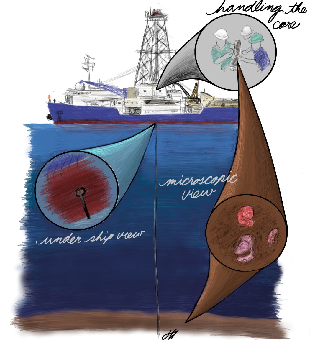 Sketch of ship with drill extended to sea floor. Over image are three circles: one showing an under ship view, one showing scientists opening a sediment core sample, and another showing shells in sediment.