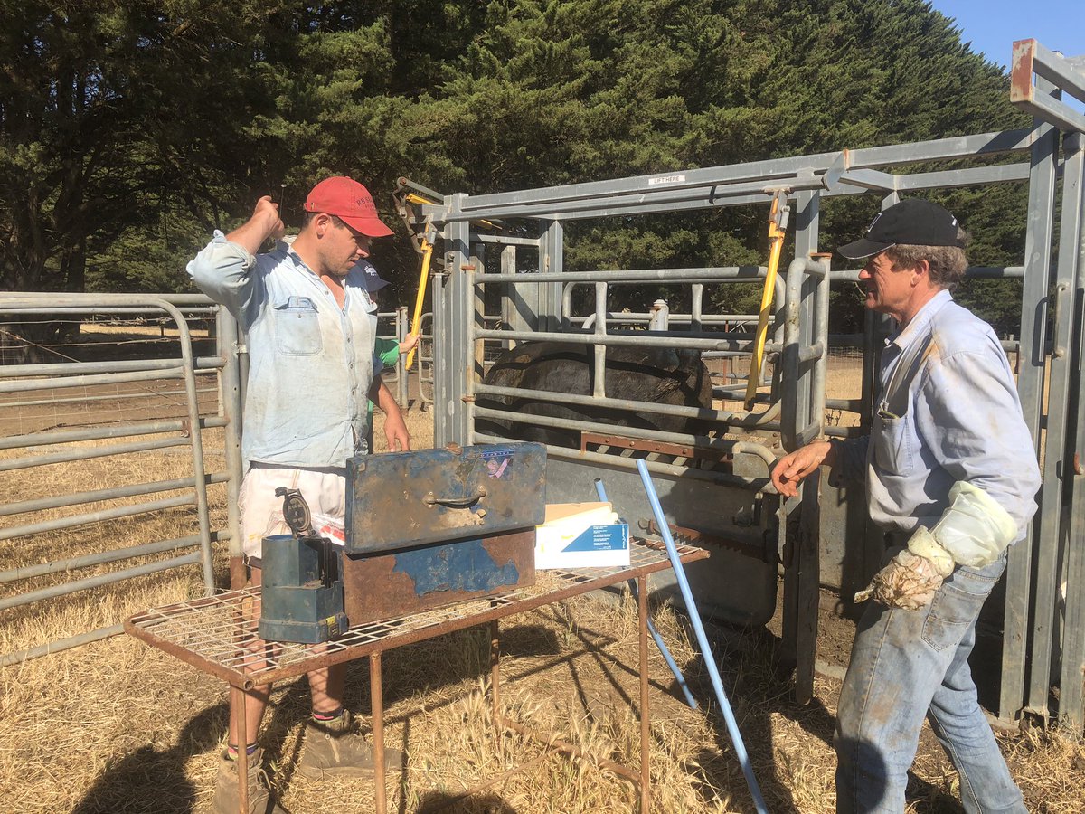 Last AI for 2019
@pathfinder_angus <a href="/angusaustralia/">Angus Australia</a>