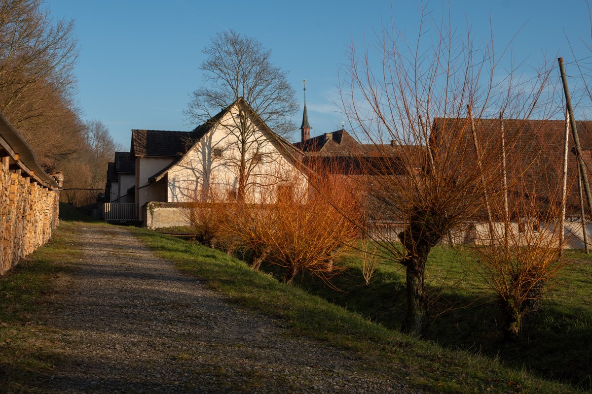 TomHumm's tweet photo. Winterliche Farbenpracht - Midwinter, not so bleak https://t.co/3fjFCvQWr2