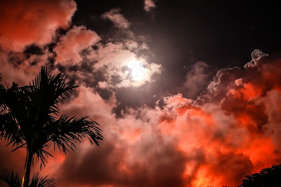 The night is calm, the wind is fresh and light; So let yourself be lulled by the soft and tender murmur of the cool breeze to make you travel to the land of sleep....Friendship and Tenderness..lots of love💋🌹❤️